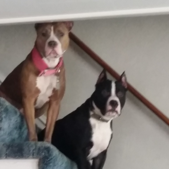 Meet your Posher, Daryl - Picture 1 of 1